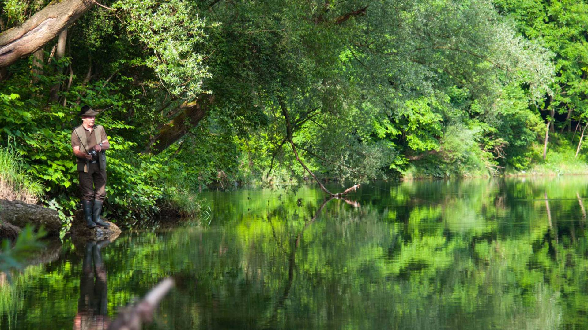 Mann beim Fliegenfischen in Waidhofen