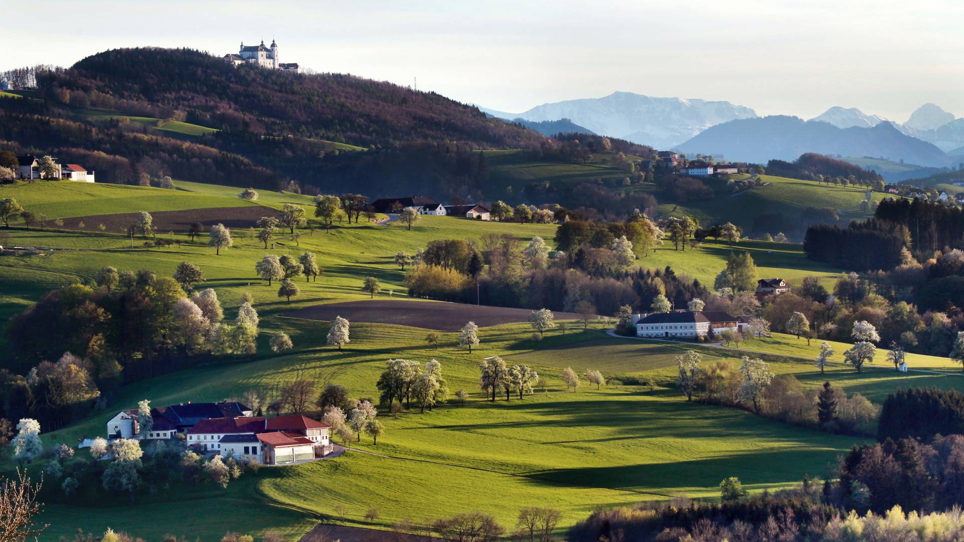 Die Landschaft des Mostviertels mit der Basilika Sonntagberg