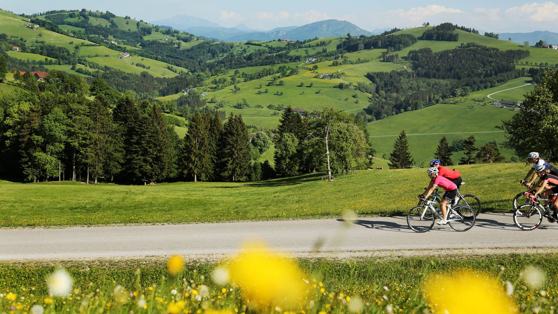 Rennradfahren in den Ybbstaler Alpen