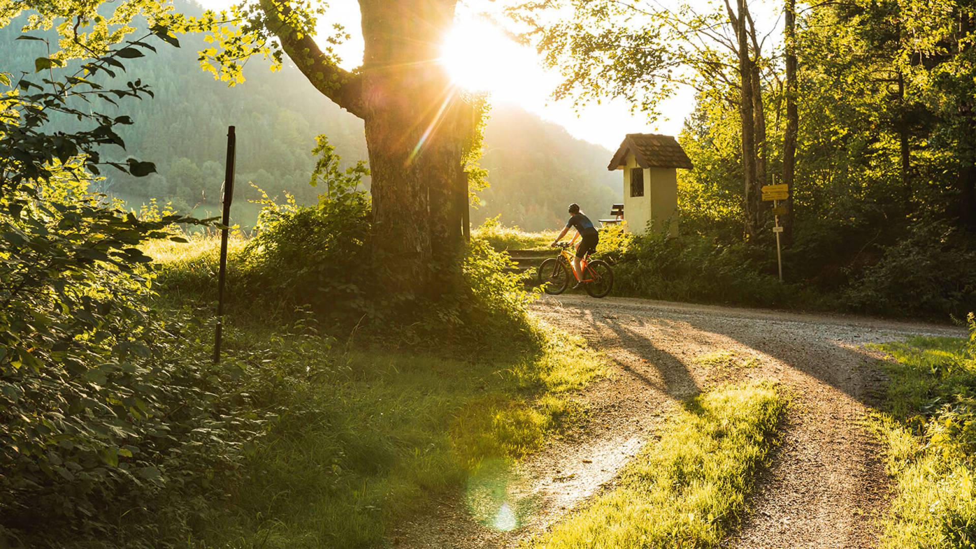 Mountainbiken im Ybbstal